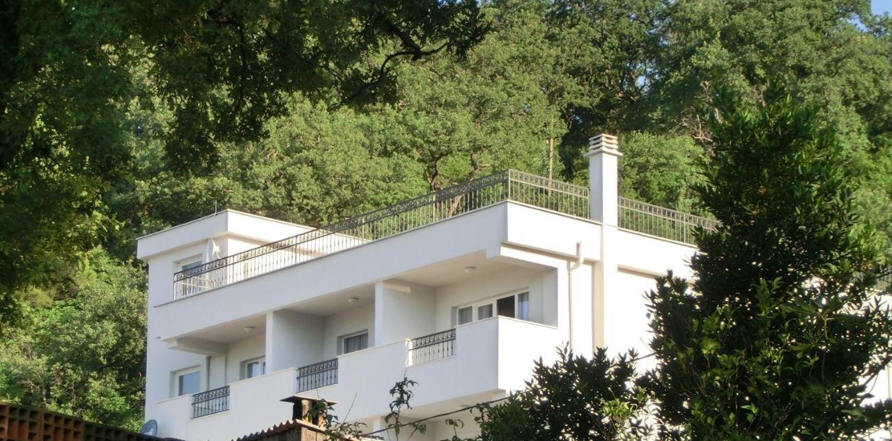 Villa Slovenika Budva Luaran gambar